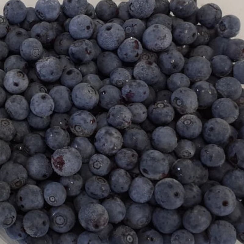 山口県宇部産 急速冷凍ブルーベリー 500g（北海道・沖縄・離島