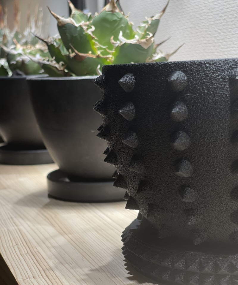 fit=cover,w=800,h=960