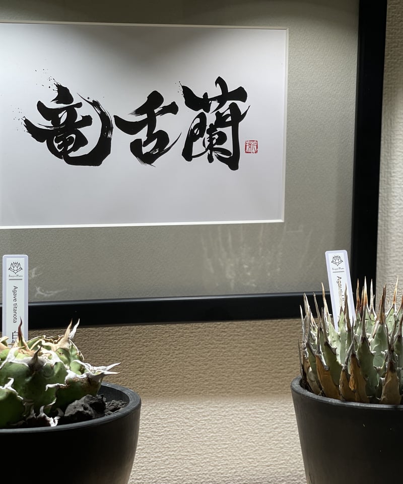 SP-ART01］ポスター 