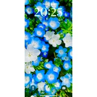 ［Amenouzume］“新しい私”の誕生。私は、心躍る。［転換期］
