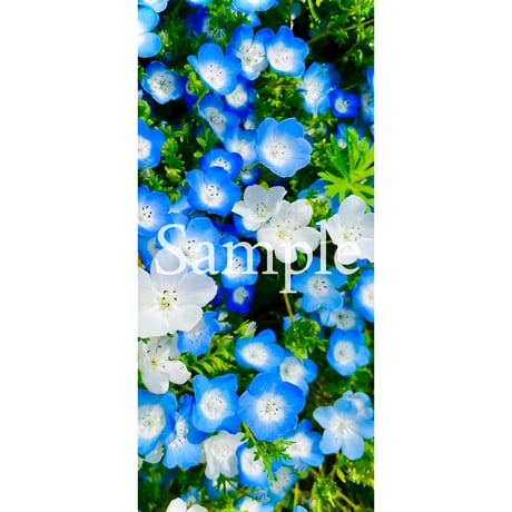 ［Amenouzume］“新しい私”の誕生。私は、心躍る。［転換期］