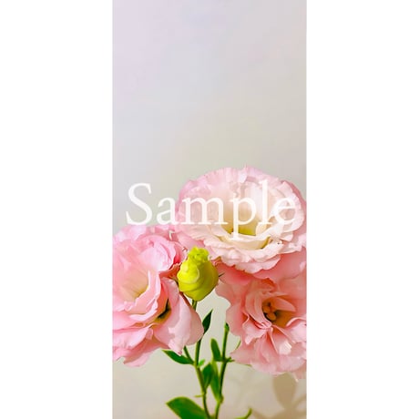 ［Munakata Sanjoshin］目を覚まして、“私”を生きていく。［覚醒・統合］
