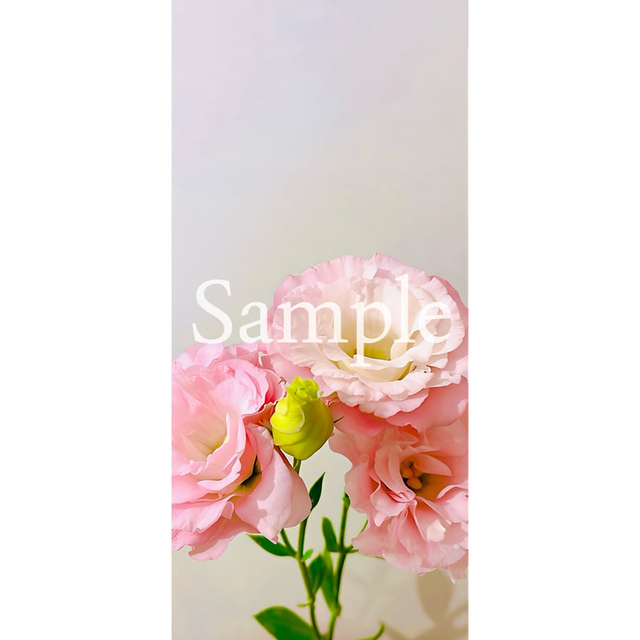 662b2b27e1ab3705655a76b7