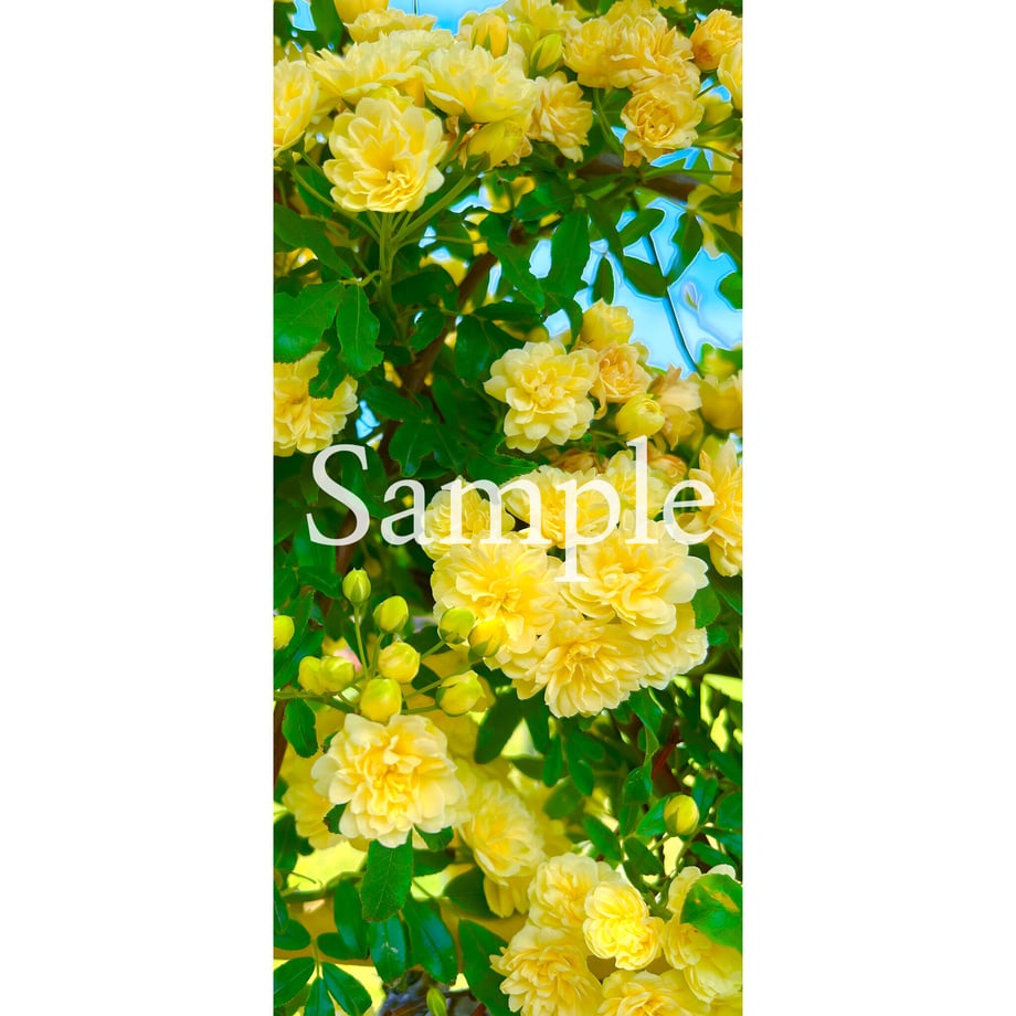 64832b745348c50030f79a99