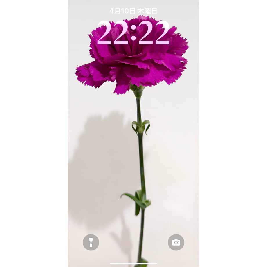 67f8b441613f7dda8077d13c