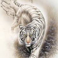 🐯白虎🐯🌸ハナコちゃん🌸の厄祓いandグラウンディング金運アップヒーリング