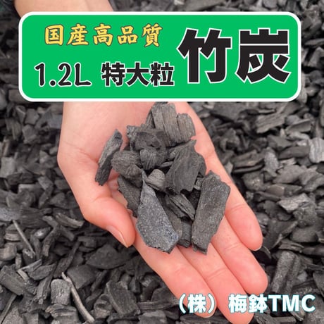 竹炭　特大粒　1.2L