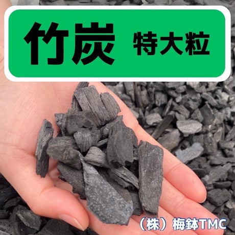 竹炭　特大粒　6L