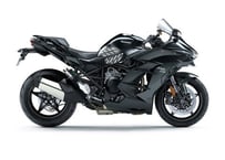 18-23 NINJA H2 SX/SX SE (0150)