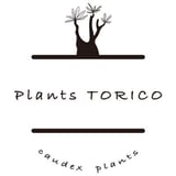 plants TORICO