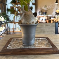 長方形クリアステージ(植物台)