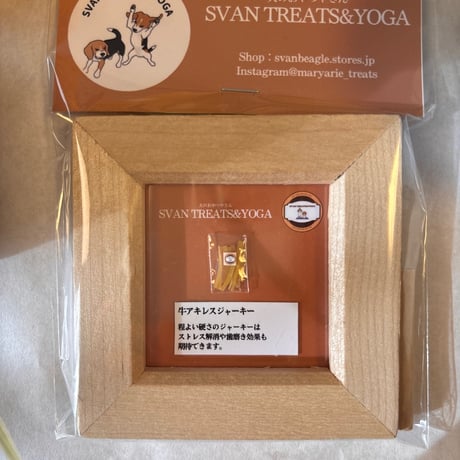 本物そっくりミニチュア1種