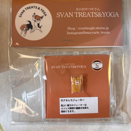 本物そっくりミニチュア1種（マグネットタイプ）