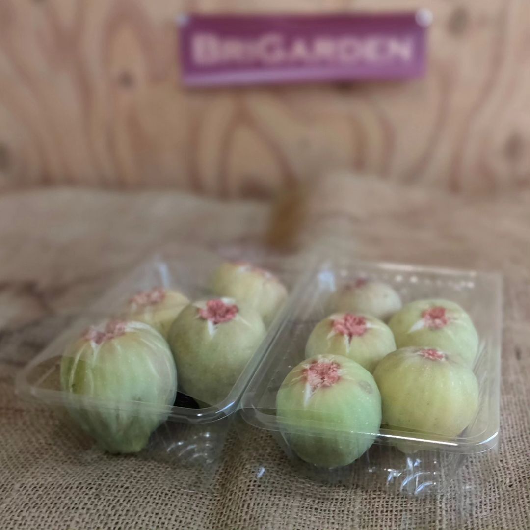 クール便発送】蓬莱柿イチジク（4パック入り1箱） | BriGarden