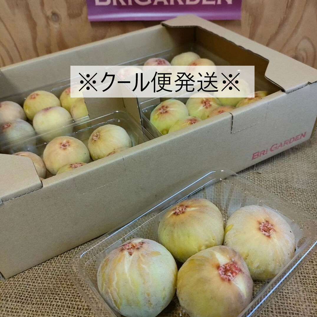 「aiai 様」蓬莱柿x16 クール便発送】蓬莱柿イチジク（4パック入り1箱） | BriGarden