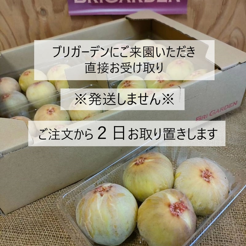 直接お受取用】蓬莱柿イチジク（4パック入り1箱） | BriGarden