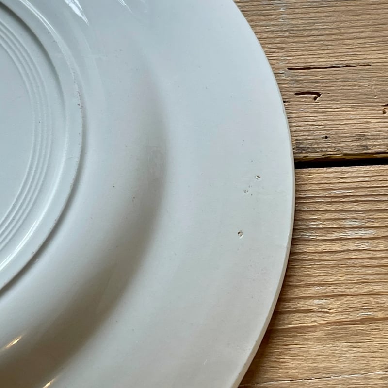 DIGOIN Sarreguemines 「DENISE」シリーズ 22.5cm フランスアン