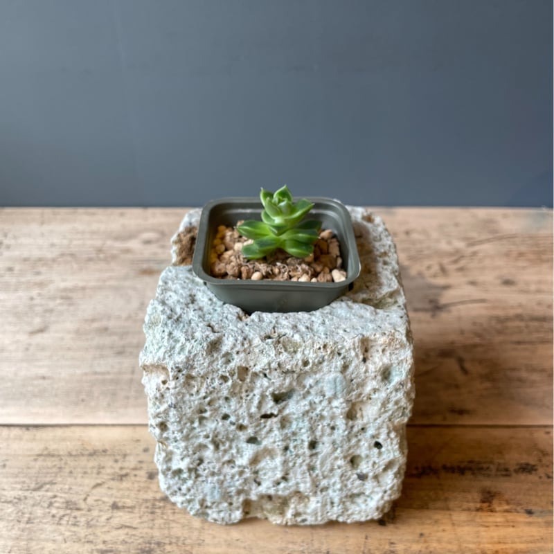 イタリア/ITALGARDEN 大理石粒混 プランター☆ヴィクトリーカップ型