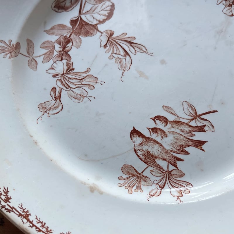 クレイユモントロー プレート 26.5㎝ フランスアンティーク | OGISHIMA