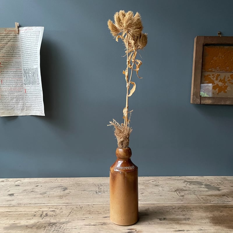 ブラウン陶器ボトル イギリスアンティーク ⑤ | OGISHIMA COFFEE ブラウン陶器ボトル イギリスアンティーク ⑤ | OGISHIMA COFFEE
