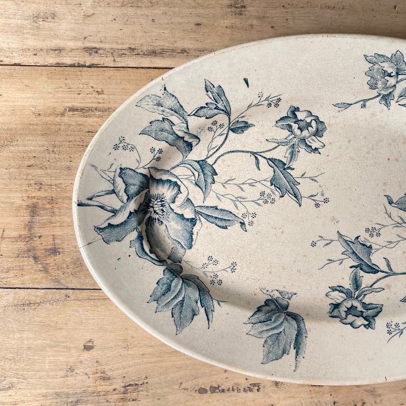 スポード　クリスマスローズ　16cm プレート　② スポード クリスマスローズ 16cm プレート ②