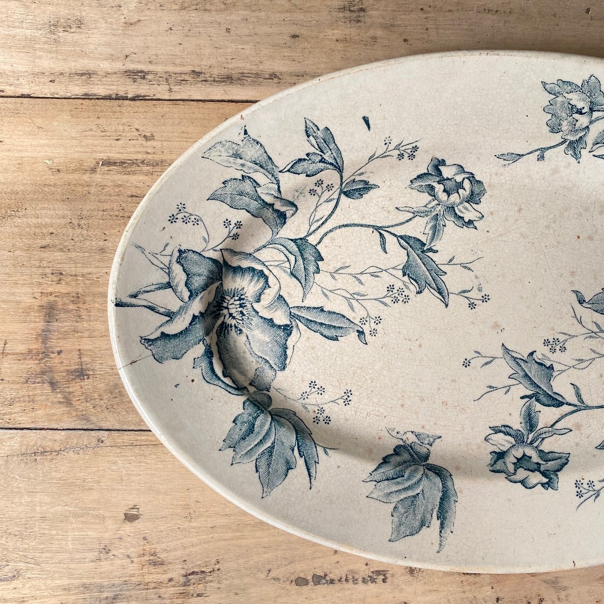 ROSE de NOEL クリスマスローズ柄 オーバルプレート 36.5cm フランス