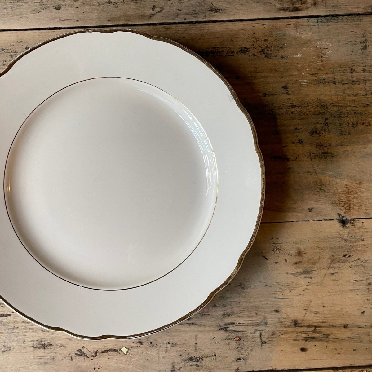 Villeroy & Boch 金継ぎ 金縁花リムプレート 25cm フランス