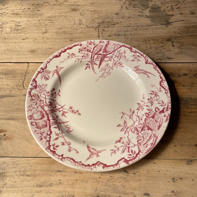 Lunéville 赤い鳥プレート 22.5cm フランスアンティーク