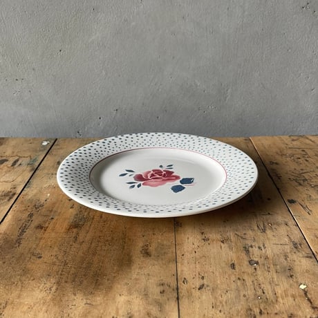 DIGOIN Sarreguemines プレート　22.5㎝　フランスアンティーク