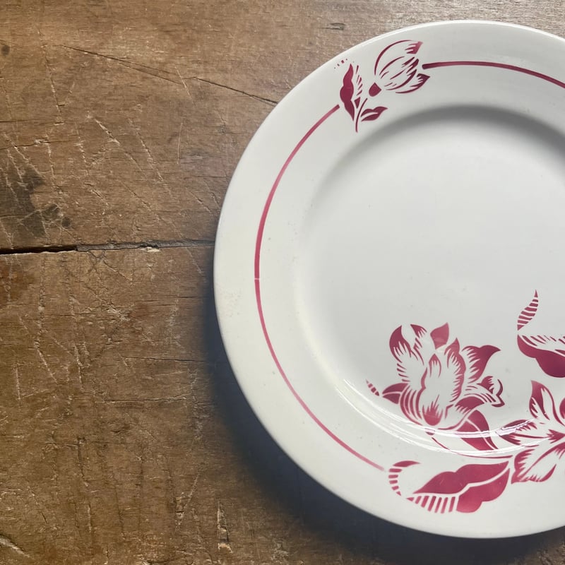 DIGOIN Sarreguemines 「DENISE」シリーズ 22.5cm フランスアン