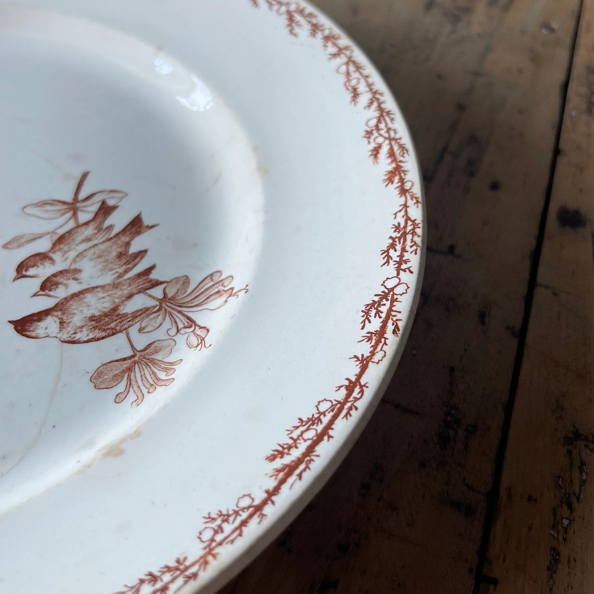 フランスアンティーク クレイユモントローmugetプレート クレイユモントロー プレート 26.5㎝ フランスアンティーク | OGISHIMA