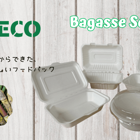 バガスボウル 500㎖