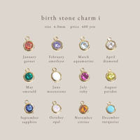 ［ 予約 ］birth stone  charm ⅰ