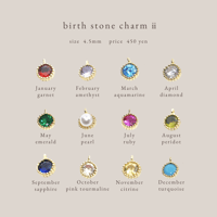 ［ 予約 ］birth stone  charm ⅱ