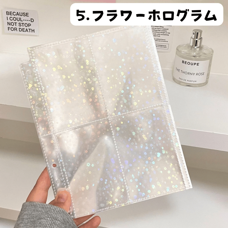 A5 ファイルトレカリフィル 10枚入り 【RE1-B】 | POPPiN! ROOM 推し活