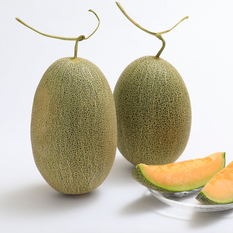 メロン② Installed Zerogravity Double Bubble Windhshield on Kawasaki ZX6R