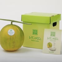 レモンメロン(4L)