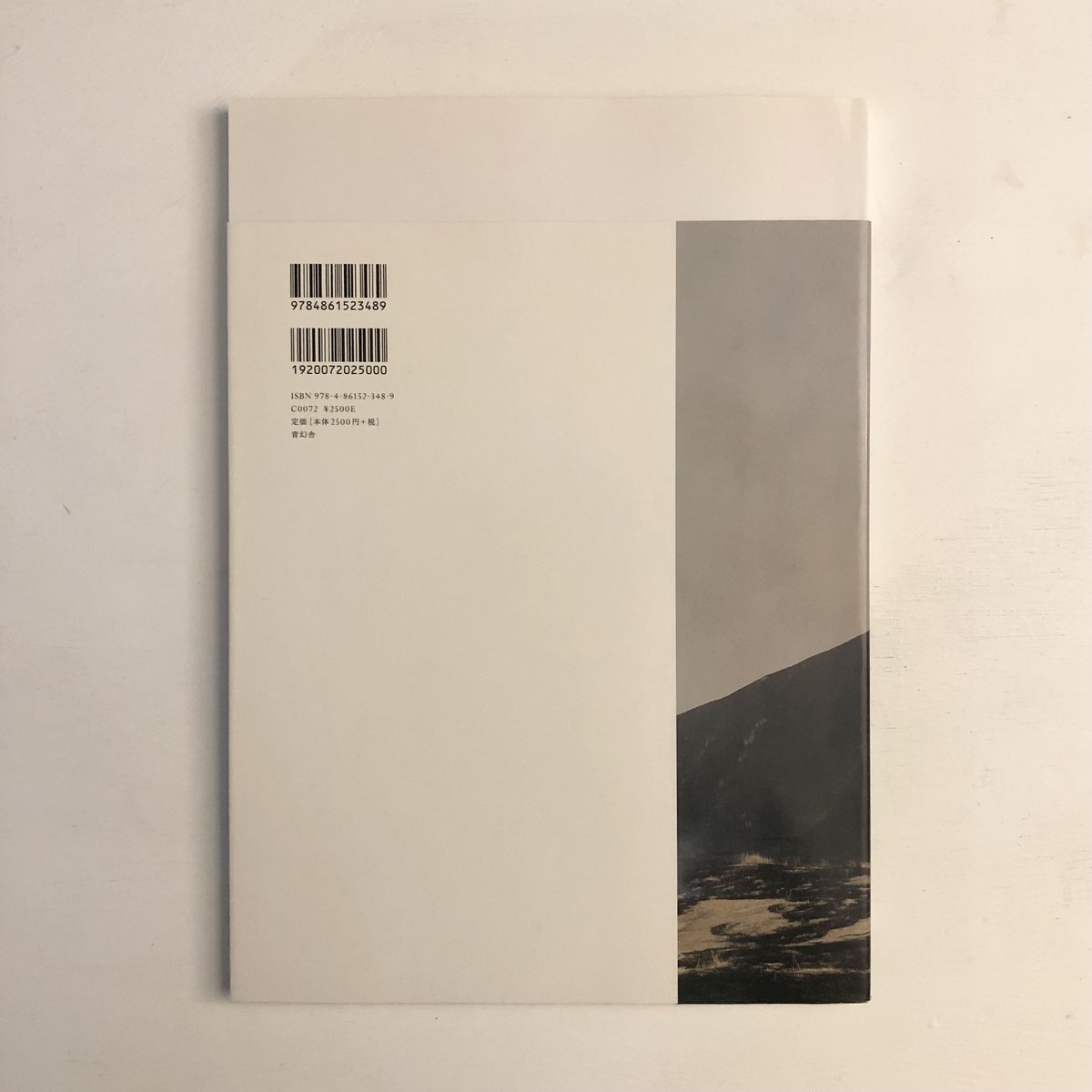 照度 あめつち 影を見る/川内倫子 Rinko Kawauchi | 白書店