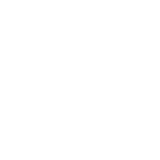 TIGER LILY