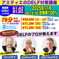 アミティエのDELF対策講座　DELFのプロのプライベートレッスン