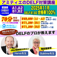 アミティエのDELF対策講座　DELFのプロのプライベートレッスン