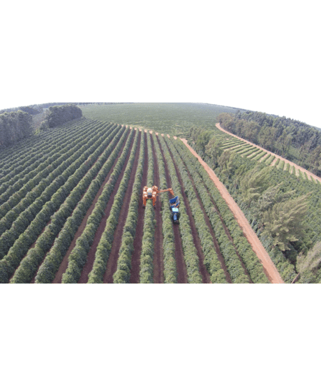 BRAZIL｜Inacio Urban｜Dark Roast｜500g