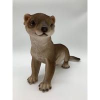 コツメカワウソ