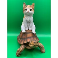 三毛猫とタートル