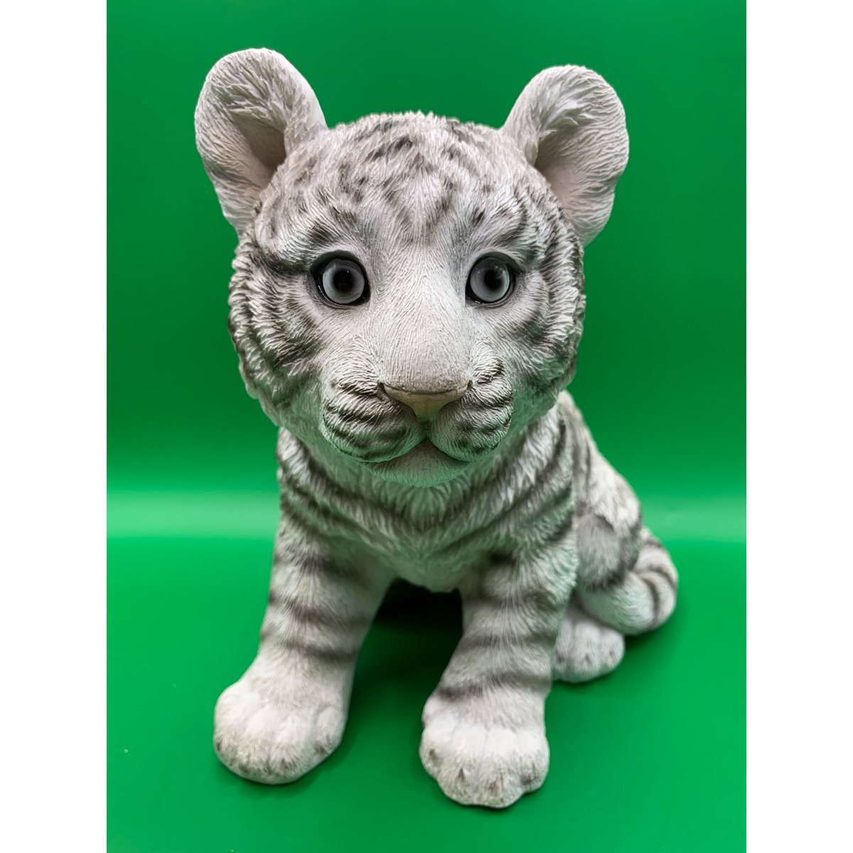 ホワイトタイガー 時雨と月 楽しそう🎶 #ホワイトタイガー#トラ#whitetiger #tiger