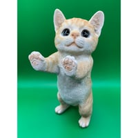 窓の外を眺める茶トラの子猫