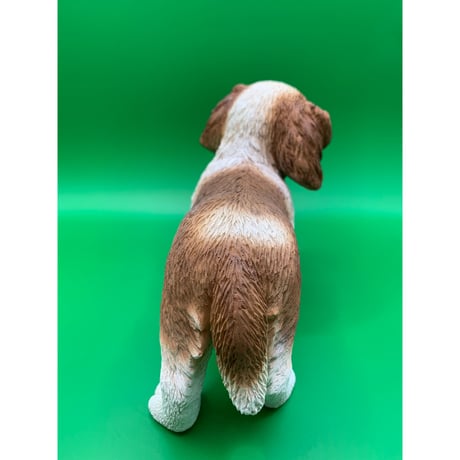 キャバリア　子犬