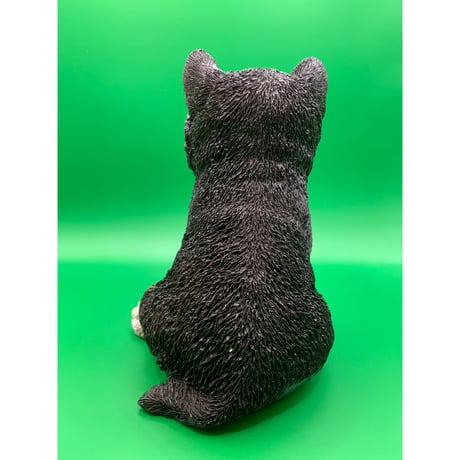 黒柴　子犬