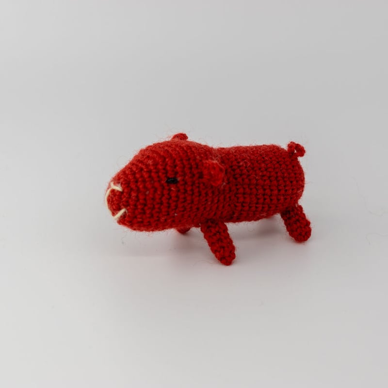 カピバラ様、紅三四郎 カピバラ様、紅三四郎 カピバラさん【公式