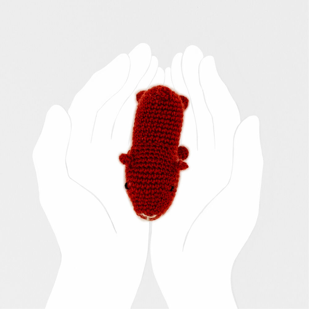 カピバラ様、紅三四郎 カピバラ様、紅三四郎 カピバラさん【公式